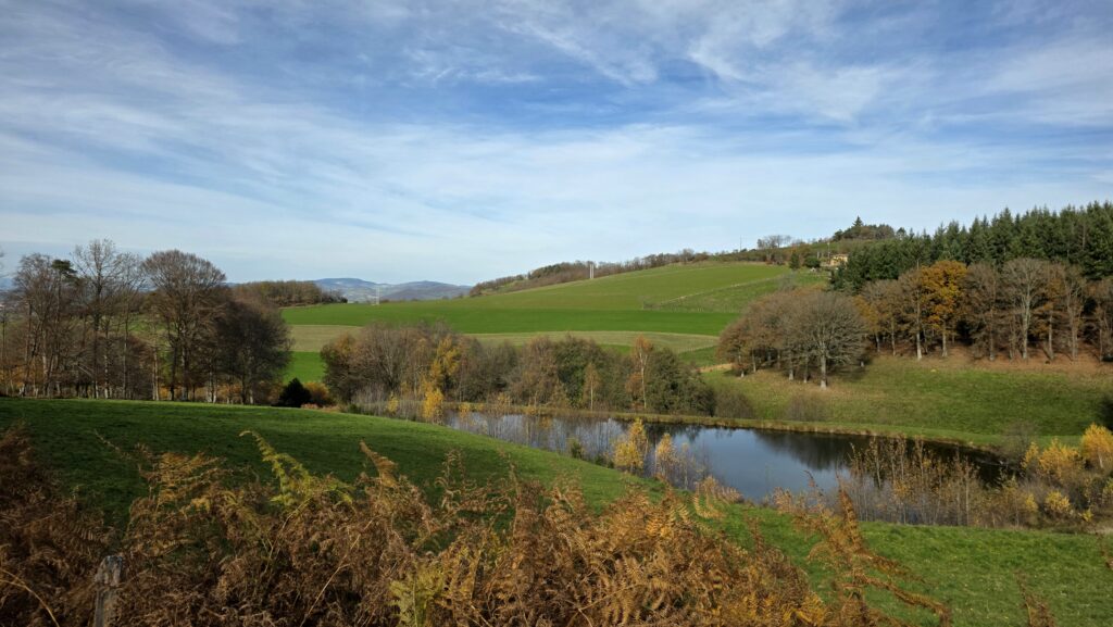 étang dans le Forez